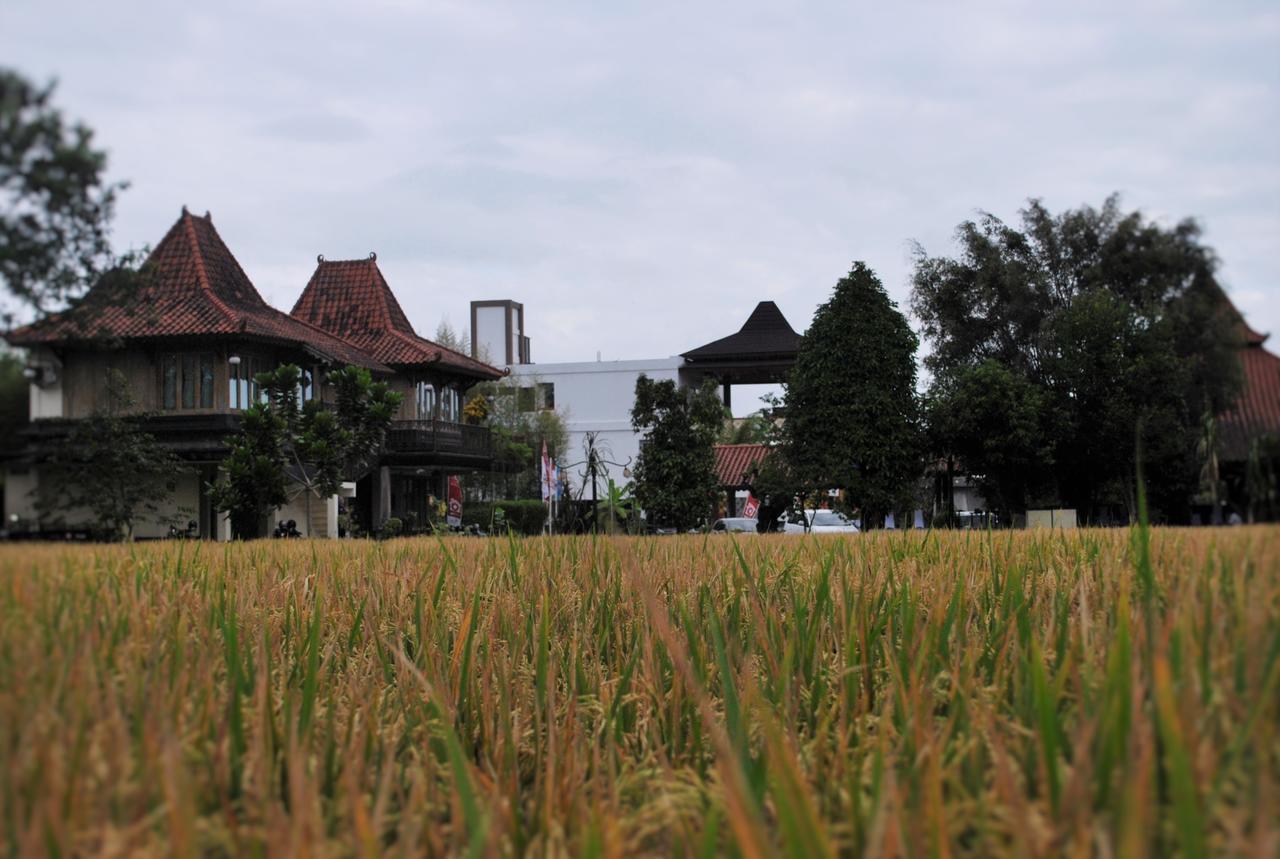 Java Village Resort By Homee Yogyakarta Sleman  Eksteriør billede