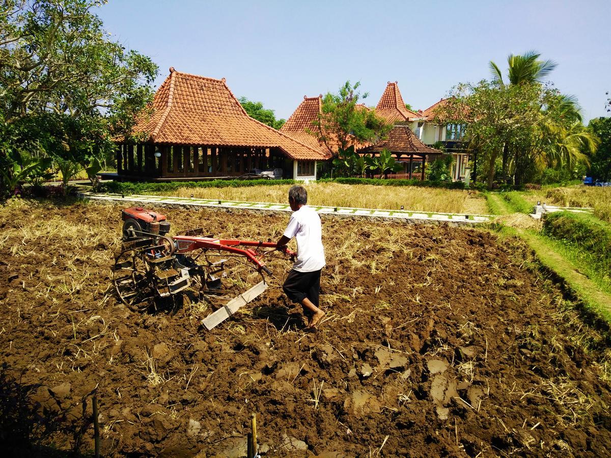 Java Village Resort By Homee Yogyakarta Sleman  Eksteriør billede