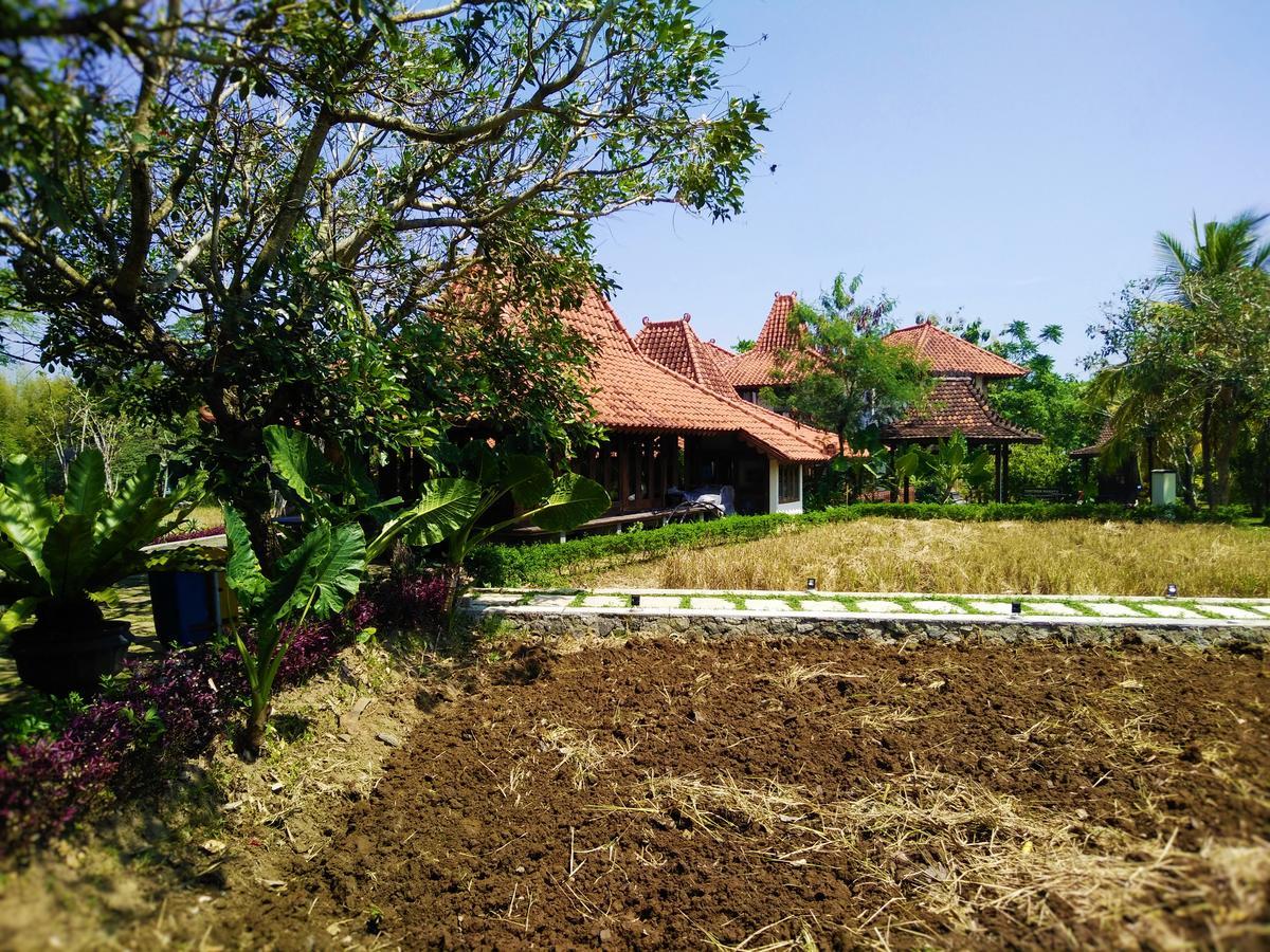 Java Village Resort By Homee Yogyakarta Sleman  Eksteriør billede